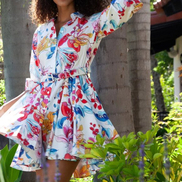 Hale Bob Vania Poplin Dress size L NWT